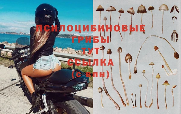 MDMA Premium VHQ Балабаново
