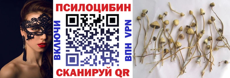 Псилоцибиновые грибы ЛСД  Верхняя Салда 